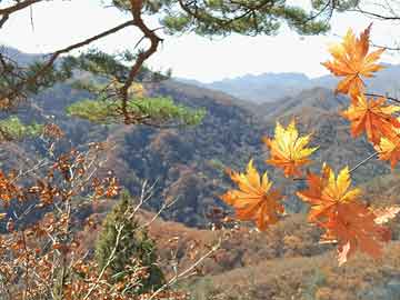 万事达虚拟卡:四川乐山发生一起交通事故，造成3人死亡 · 快讯-万事达卡