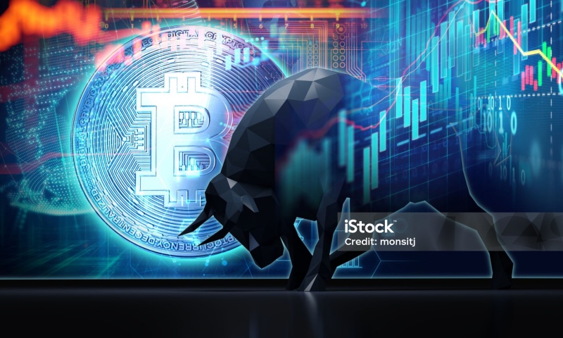 COTI币的发行总量是多少？COTI币的总发行量与流通量分析