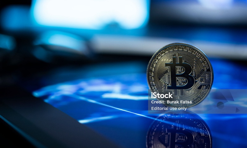 秋田犬币和柴犬币的区别是什么？比较秋田犬币与柴犬币的特点