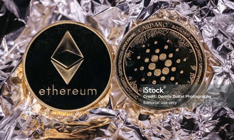 秋田犬币和柴犬币的发行量是否相同？分析两者的发行量与市场表现