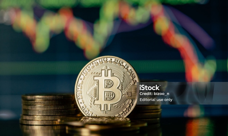 PETN币的发行价是多少？供应量与历史表现解析