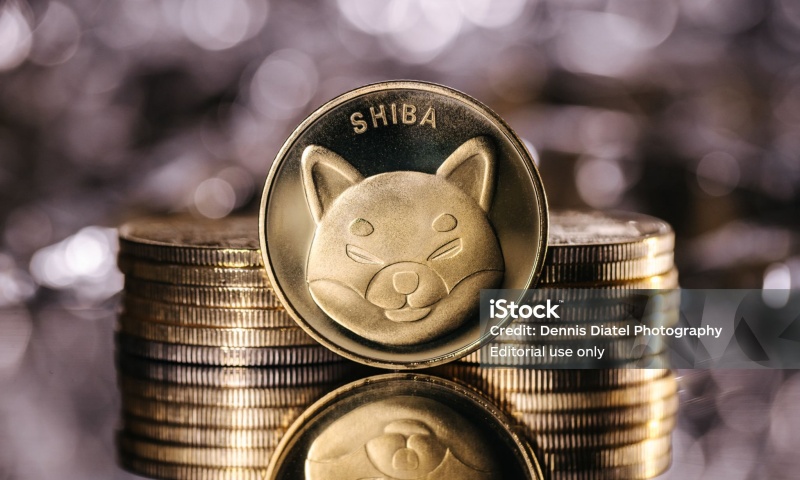 2025年Dogecoin的价格走势如何？预测2025年Dogecoin的市场表现